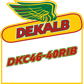 DEKALB logo featuring the winged emblem and the text 'DKC46-40RIB'